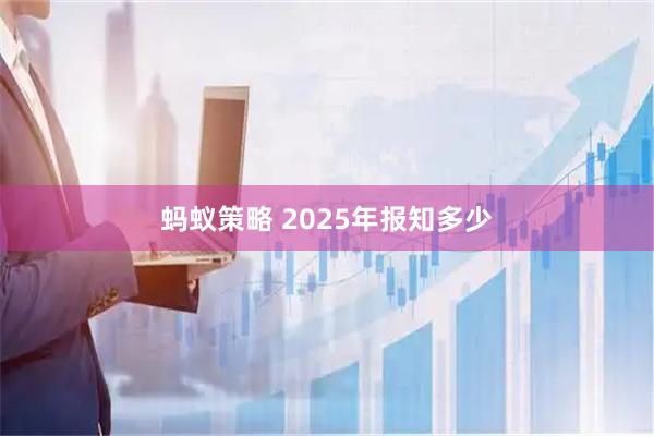 蚂蚁策略 2025年报知多少