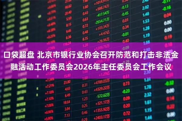 口袋超盘 北京市银行业协会召开防范和打击非法金融活动工作委员会2026年主任委员会工作会议