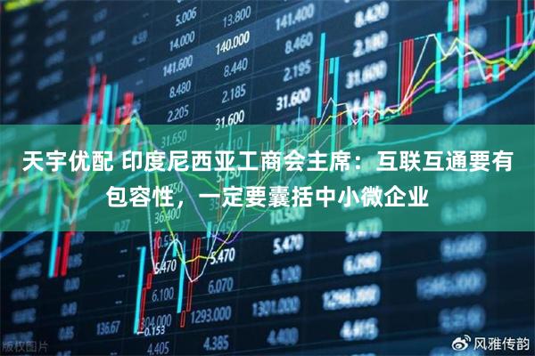 天宇优配 印度尼西亚工商会主席：互联互通要有包容性，一定要囊括中小微企业