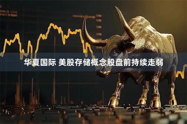 华夏国际 美股存储概念股盘前持续走弱